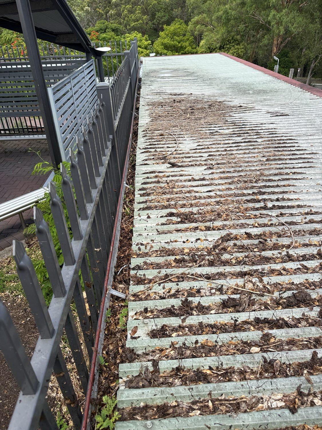 Long commercial roof gutter packed with leaf debris beside a fenced walkway