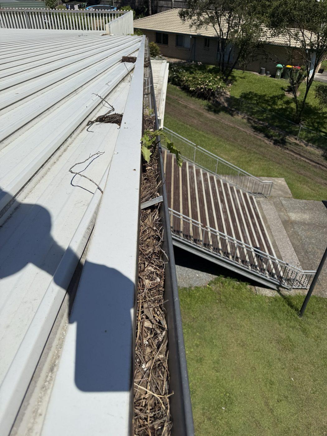 School walkway gutter full of debris before cleaning