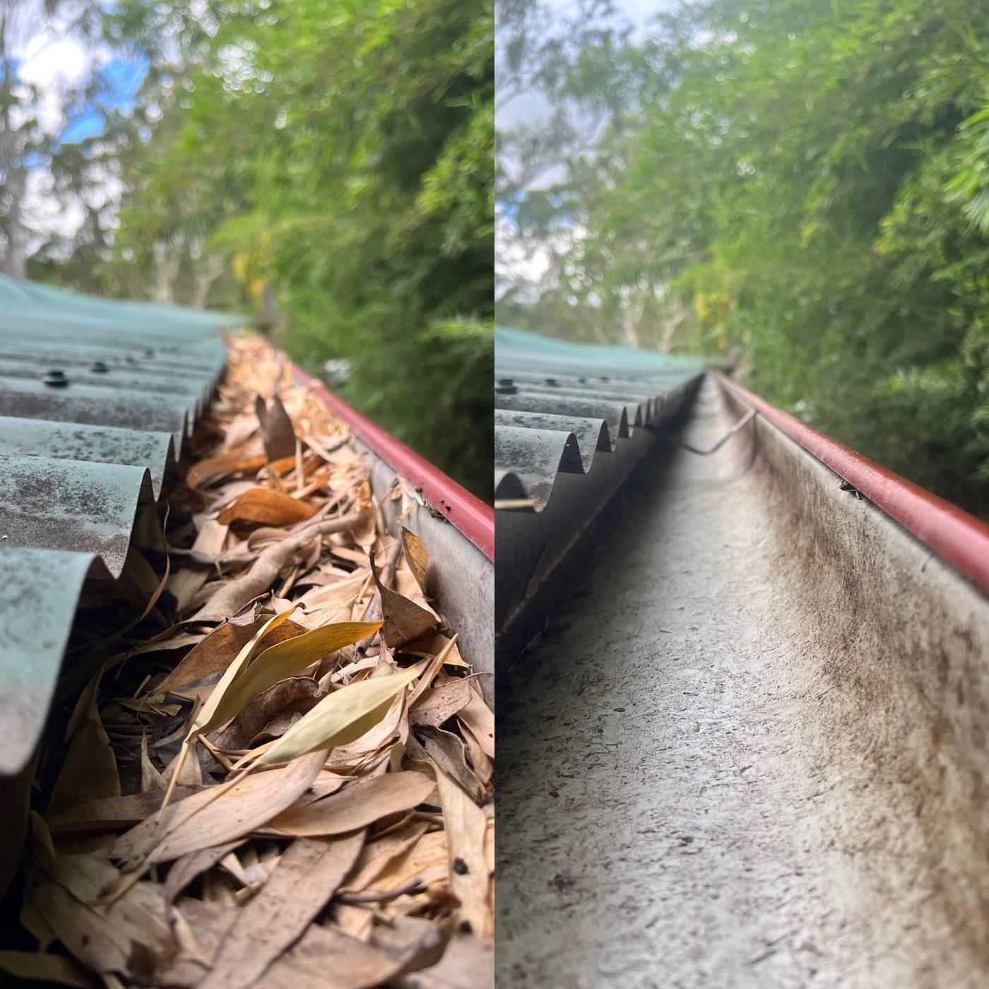 Before and after gutter cleaning showing packed eucalyptus leaves removed